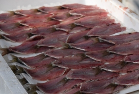 Anchovies prepared at the Fish market in Venice - Crumbs and Roses blog